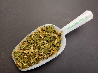 broccoli 2.jpg